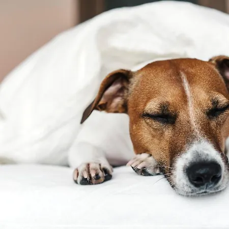 Ξενοδοχείο Garner By Ihg 4*